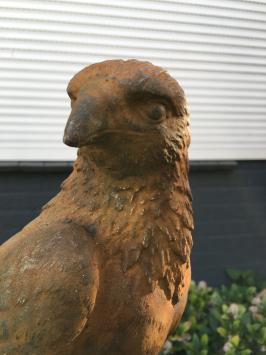 Ein wunderschöner sitzender Adler, voller Steinoxid